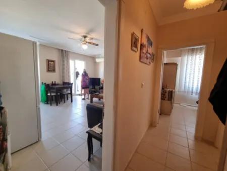 2 Zimmer Wohnung Mit Pool Zum Verkauf In Didim Camlik Nachbarschaft