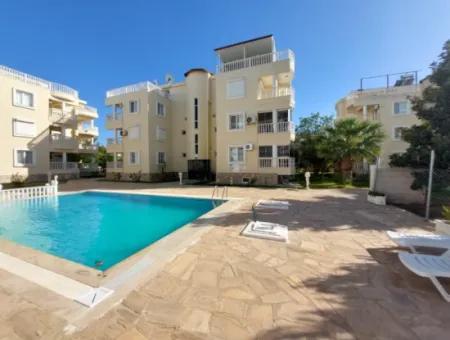 3 In 1 Maisonette In Einem Komplex Mit Pool Zum Verkauf In Didim Altinkum Çamlık Nachbarschaft