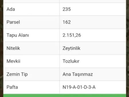 Investition 2150 M2 Olivenhain Zum Verkauf In Muğla Milas Bafa