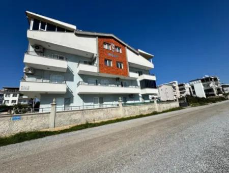 2 Zimmer Schnäppchenwohnung Zum Verkauf In Didim Altinkum Immobilien