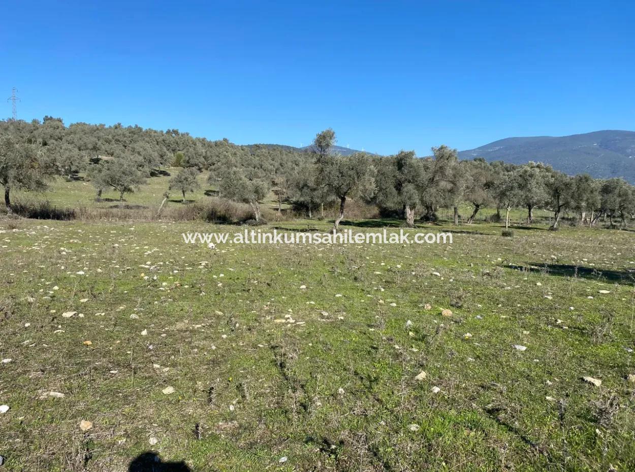 Mugla, Milas Kazikli Land With Sea View For Sale