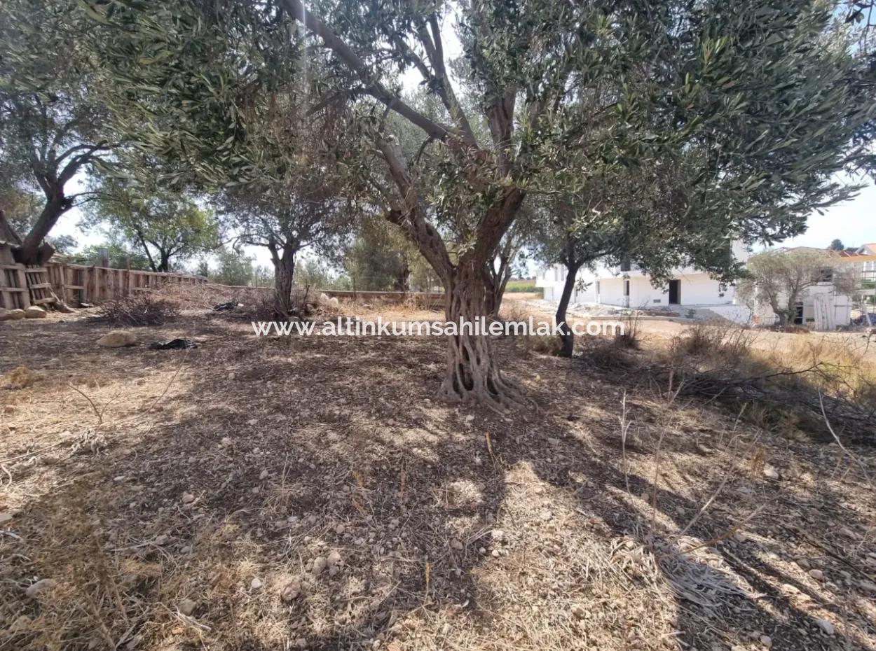 467 Sqm Land For Sale In Hisar District In Didim