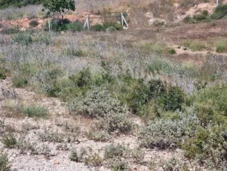 600 M2 Zoned Kelepir Villa Land For Sale In Didim Seyrantepe Area At An Affordable Price