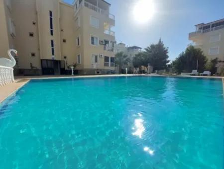 3 In 1 Duplex  With Pool For Sale In Didim Altinkum Çamlık Mah