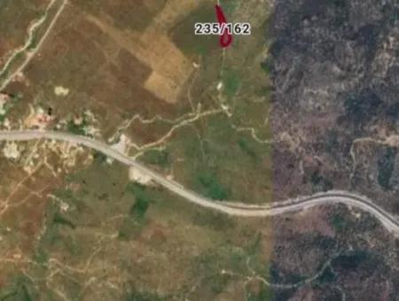 2150 M2 Olive Grove For Sale In Muğla Milas Bafa