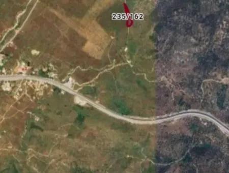 Muğla Milas Bafada Investment 2150 M2 Olive Grove For Sale