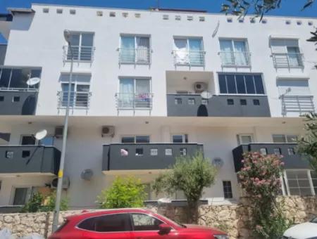 Didim Viva Mar Sitesi Satılık Havuzlu Sitede 1+1 Daire